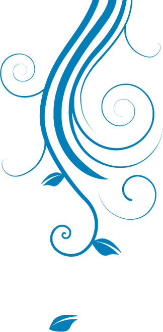 Services - Floral Designs Png Hd (324x657), Png Download