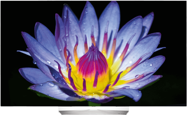 Lg 55eg9a7v Full Hd Smart Tv (786x587), Png Download