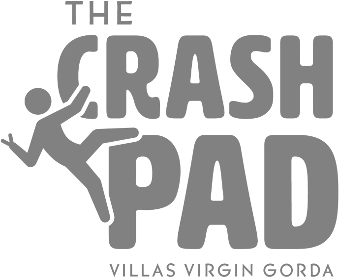 Crash Pad Logo Grey - Vivan Sundaram (1000x800), Png Download