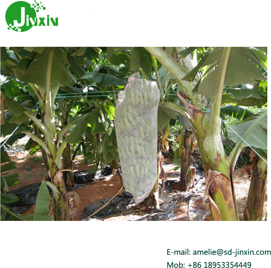 15g 1x2m Nonwoven Banana Bunch Cover With 4%uv Treatment - Banana Cover Crop (1000x1000), Png Download