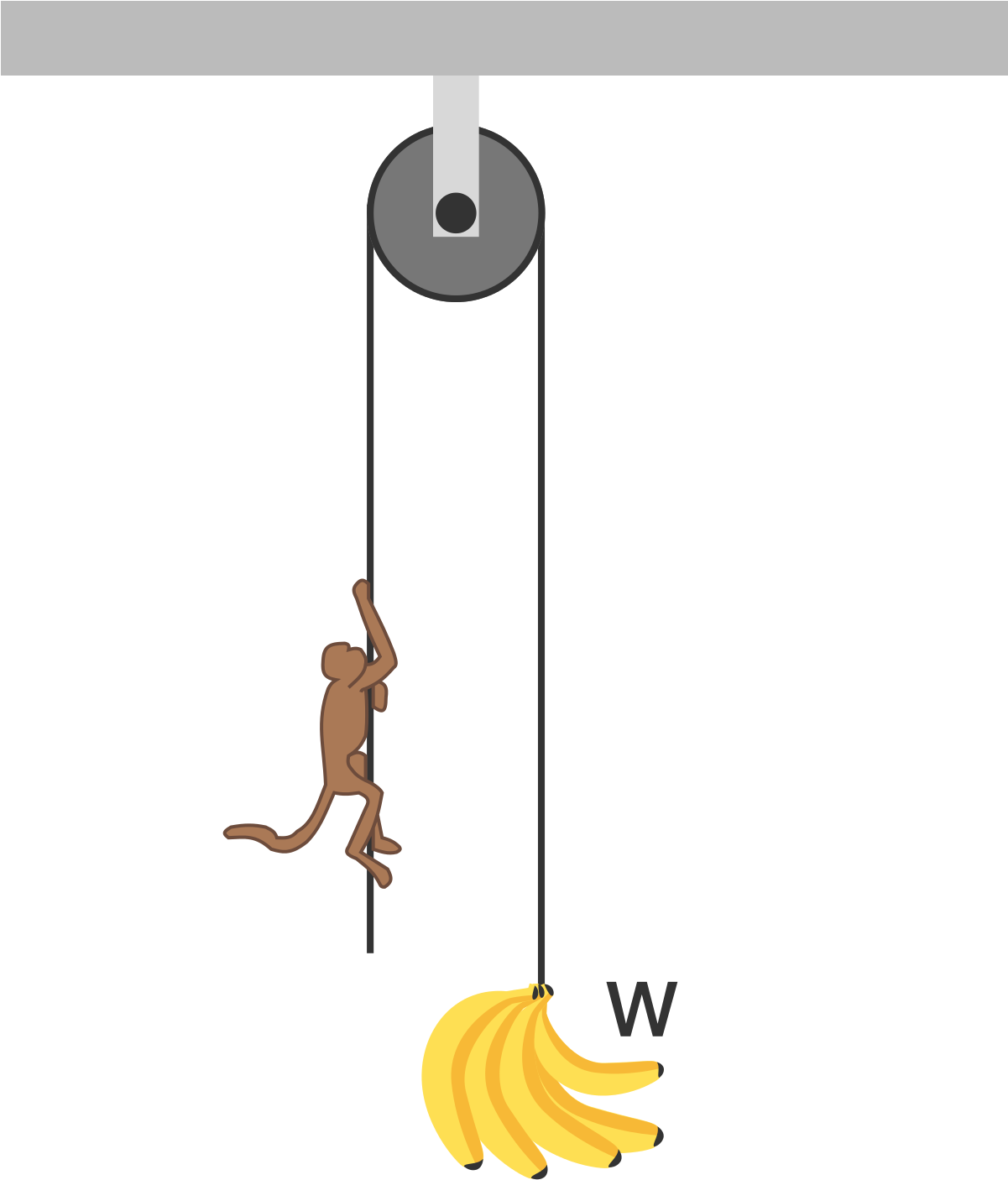 A Bunch Of Bananas Of Total Weight W W Is Hung At One - Illustration (1200x1424), Png Download