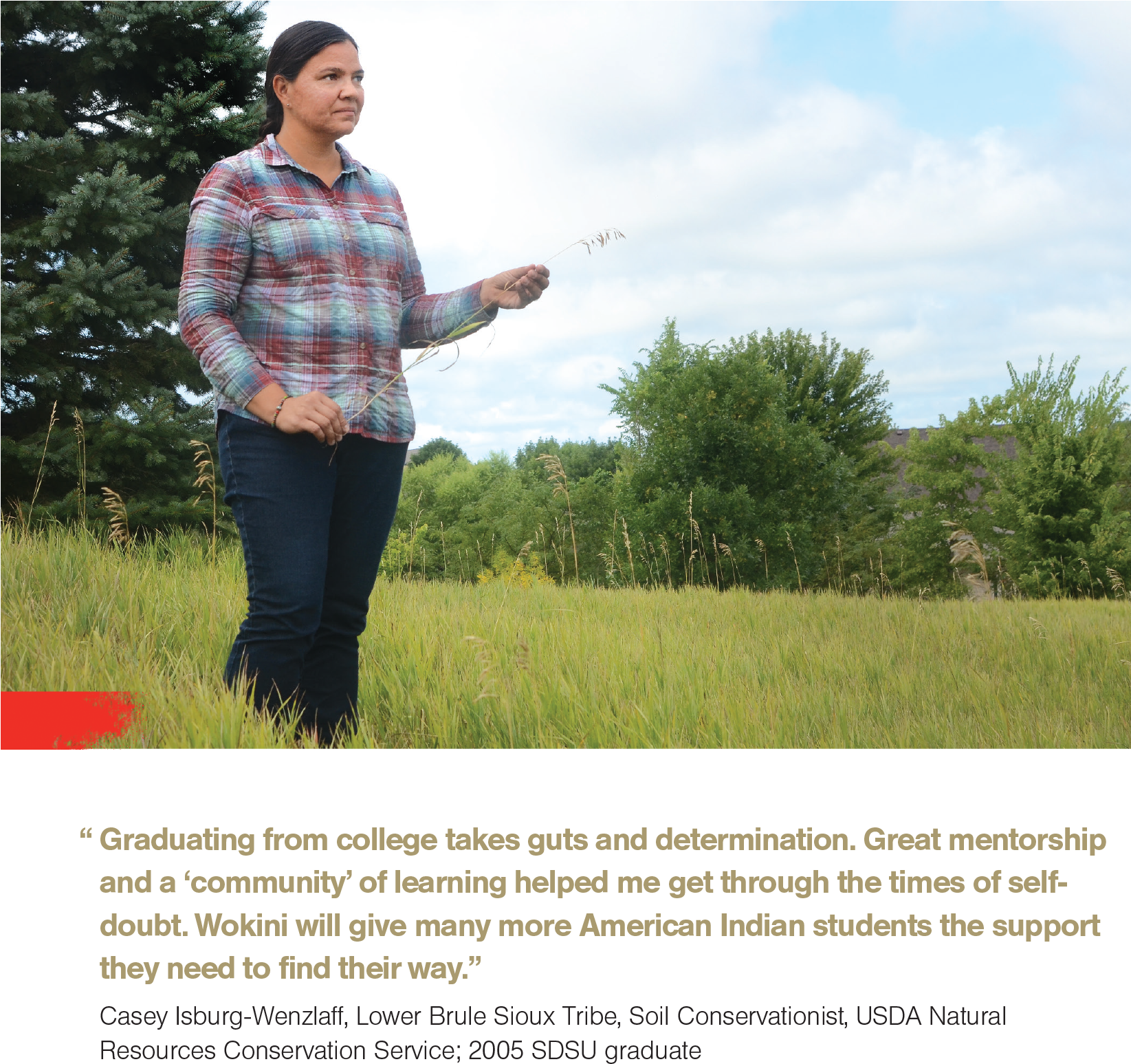 We Hope You'll Help Us - Field (1644x1606), Png Download