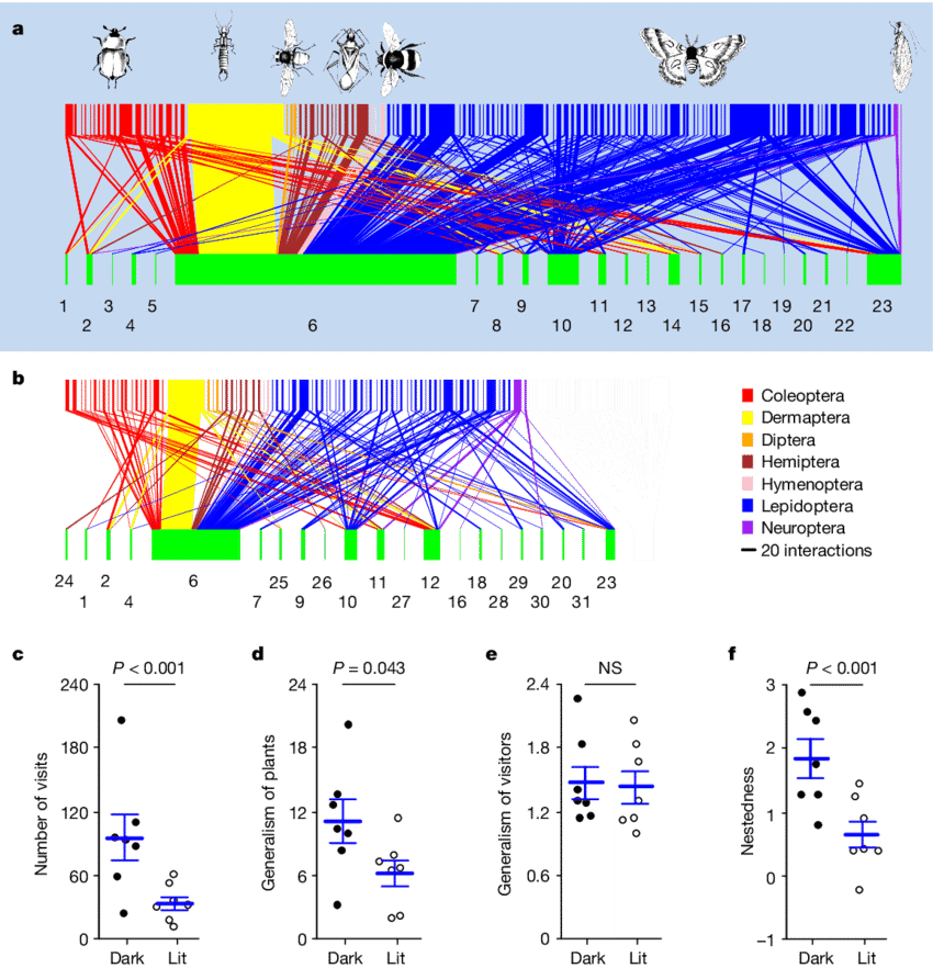 Effects Of Artificial Lighting On Parameters Of Nocturnal - Diagram (850x882), Png Download