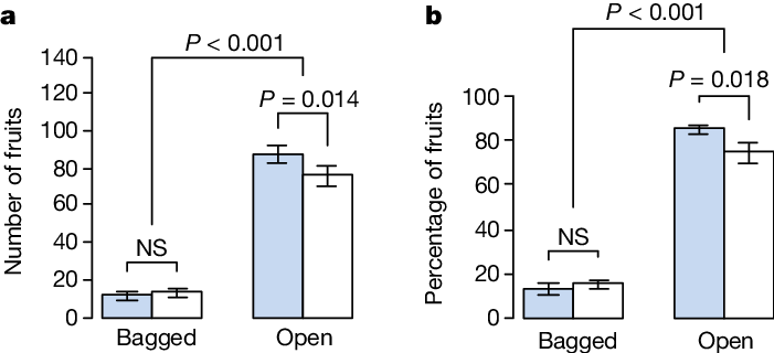 Effects Of Artificial Lighting On Fruit Set - Proliferation Assay Hek293 Egf (701x320), Png Download
