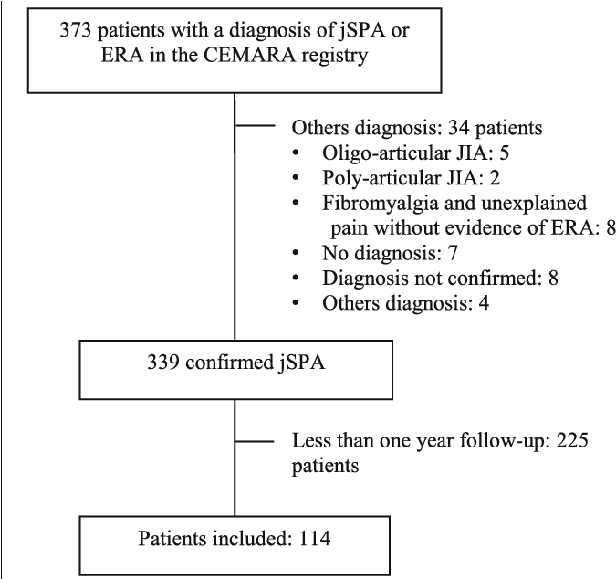 Cemara, A French Information System For Rare Disease - Document (689x633), Png Download