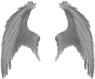 Wings - Realistic Demon Wings Png (400x324), Png Download
