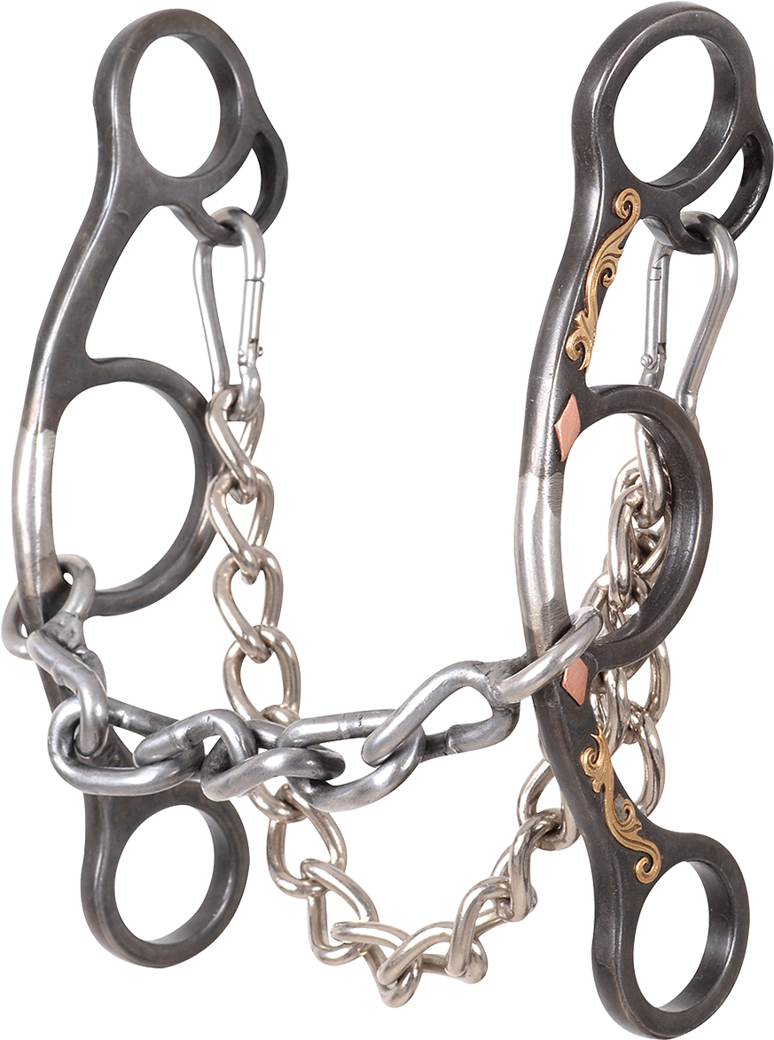 Teskey's Saddle Shop - Bit (1200x1200), Png Download