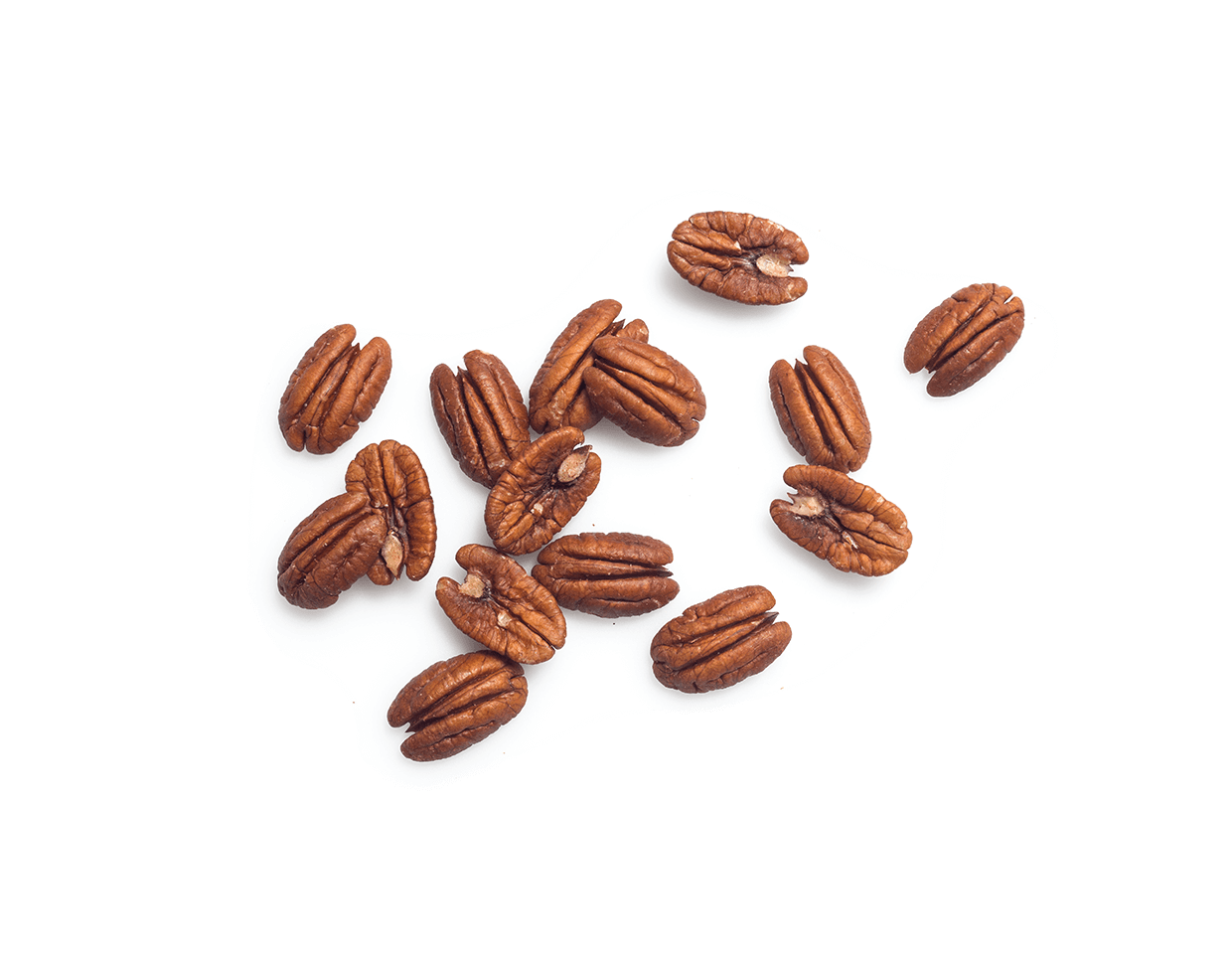 Pecan - Almond (1425x1050), Png Download