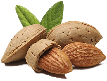 Https - //blog - Biostarus - Com/wp-content/uploads/ - Prunus Amygdalus Dulcis Oil Png (800x360), Png Download