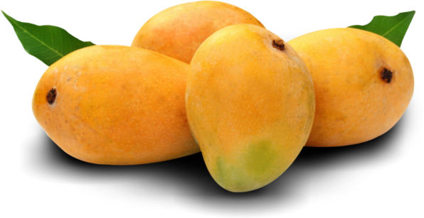 Image Result For Alphonso Mangoes Are Delicious - Fruits Mango (596x307), Png Download