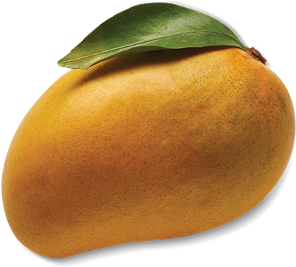 Golden, Creamy Alphonso Mangos From India Are The Only - Alphonso (680x380), Png Download