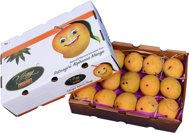Pack Of 30 Alphonso Mangoes - Orange (800x800), Png Download