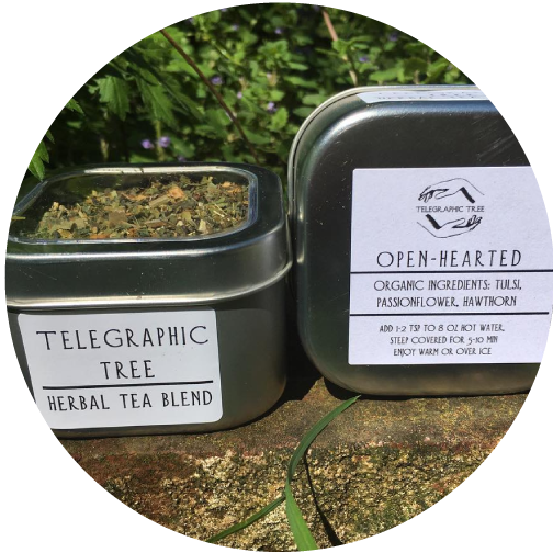 Telegraphic Tree Medicinal Tea - Label (504x504), Png Download