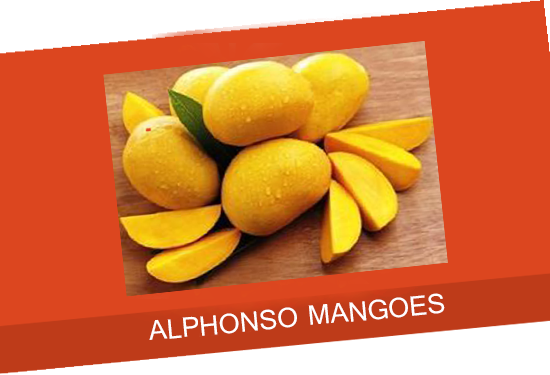 Facts About Alphonso - 倉木 麻衣 All My Best (550x375), Png Download