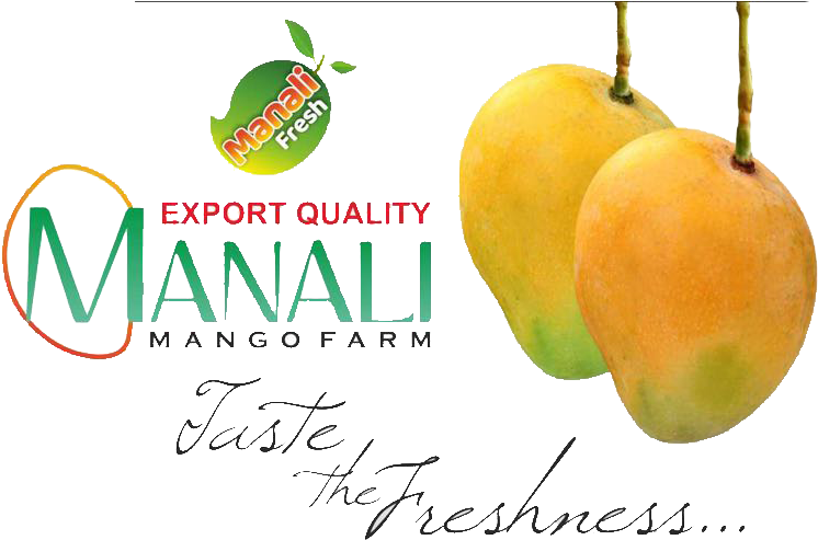 Ratnagiri Alphanso - Superfood (745x518), Png Download