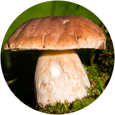 Learn How To Make Circular Photo Crops Using Layers - Zoner Software (683x390), Png Download