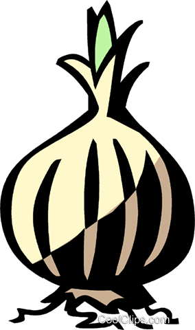 Onions Royalty Free Vector Clip Art Illustration - Illustration (284x480), Png Download