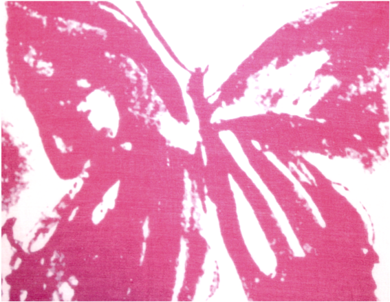 100cm X 100cm - Melanargia (600x600), Png Download