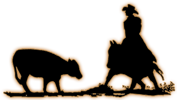 Southern Cutting Futurity (601x347), Png Download