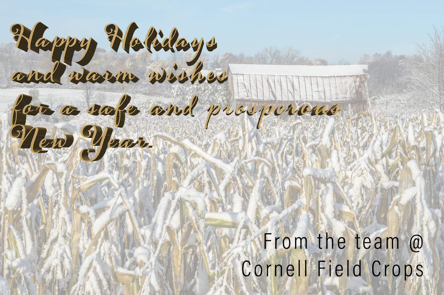 Cornell Field Crops On Twitter - Field (1500x997), Png Download