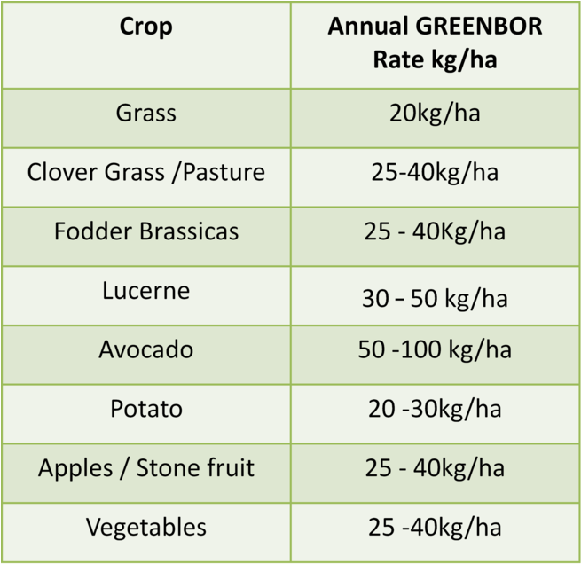 Greenbor Application Table - Portable Network Graphics (1000x684), Png Download