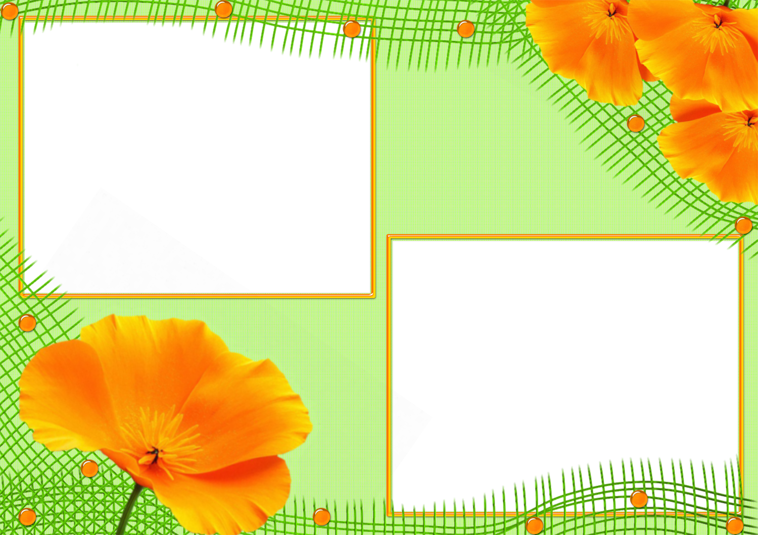 Eschscholzia Californica (1500x1060), Png Download