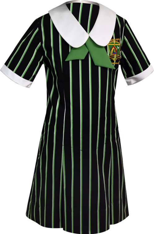 School Uniform Dress Front View - School (498x754), Png Download