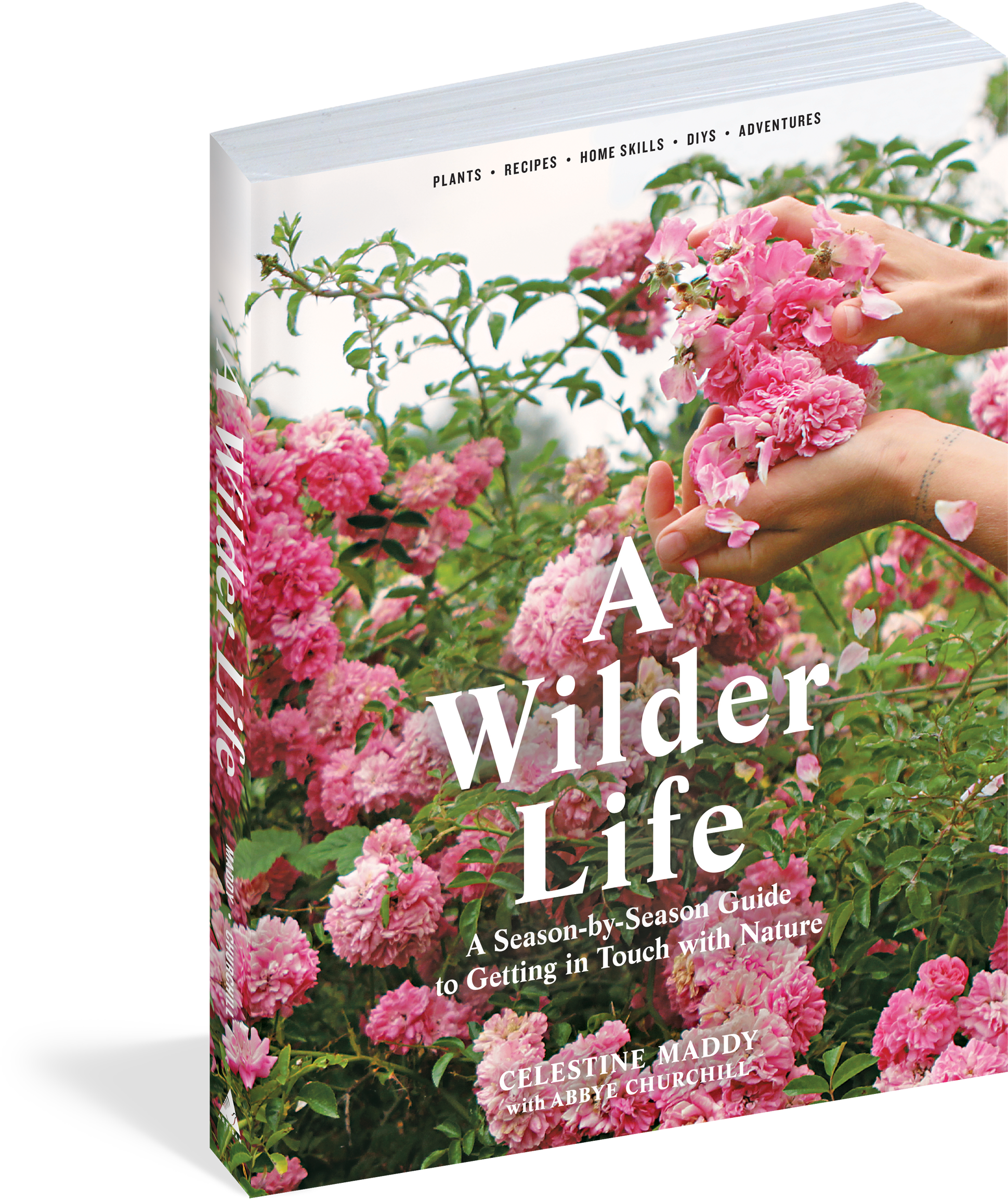 View Full Size Image - Wilder Life: A Season-by-season Guide To Getting In (2073x2400), Png Download