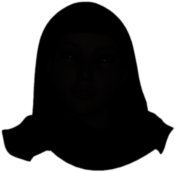 Silouhette Provided By Hebba Uddin - Marine Mammal (732x732), Png Download