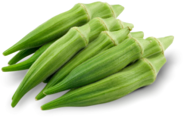 World No1st Exocrine System Ladies Finger - Okra Clipart (450x450), Png Download