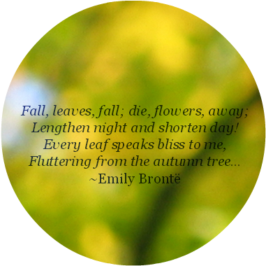 Well It's The Last Day Of Autumn Here In Brisbane - Circle (676x507), Png Download