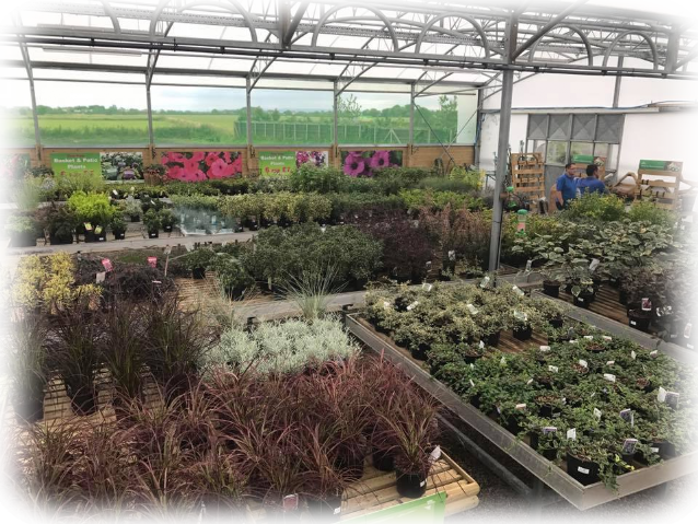 The Biggest Range Of Shrubs, Trees, Perennials, Alpines - Project (638x479), Png Download