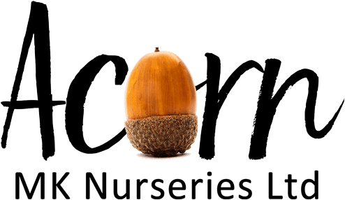 Adding Vibrancy To Gardens With Our Range Of Summer - Kitchen (600x334), Png Download