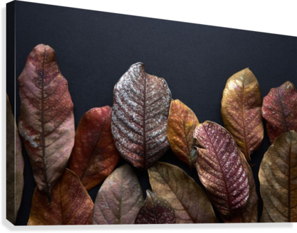 Dried Leaves Of Fall Canvas Print - Canvas Print (429x337), Png Download