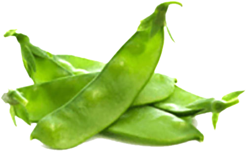 Sumo Fresh - Broad Bean (660x450), Png Download