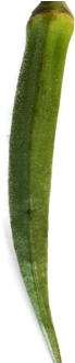 Wishlist Loading - Okra (405x330), Png Download