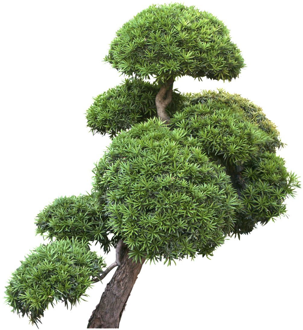 Garden Design Landscape Trees Transparent Decoratives - Garden Trees Png Transparent (1024x1108), Png Download