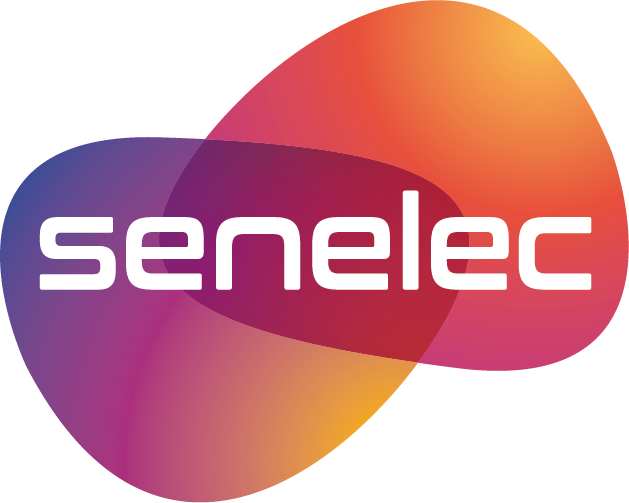 Logo Senelec Hd , 2018 05 07 - Logo Senelec (629x503), Png Download