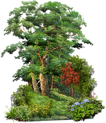 Ftestickers Tree Garden Natürel Branch Flower - Good Morning Today Thought (366x401), Png Download
