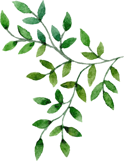 Floral & Hardy - Drink (402x521), Png Download