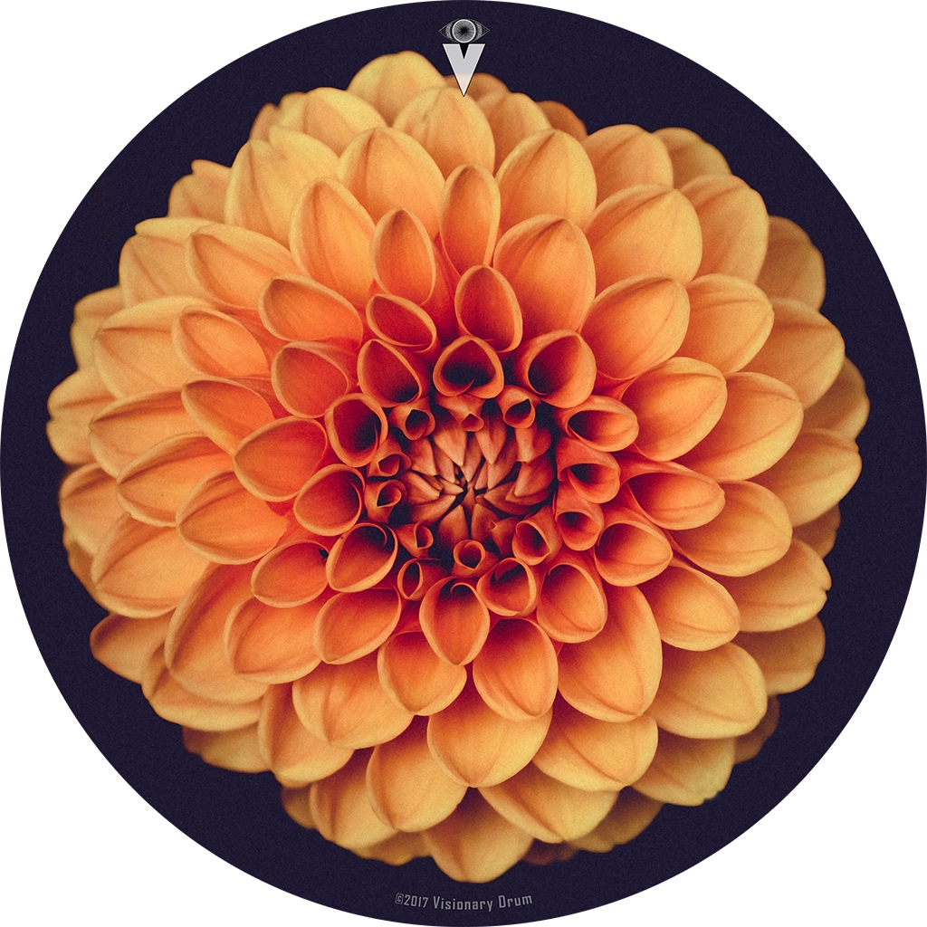 Orange Dahlia Flower Drum Skin For Bass, Snare And - Address Book.: Glossy And Soft Cover, Large Print, (1024x1024), Png Download