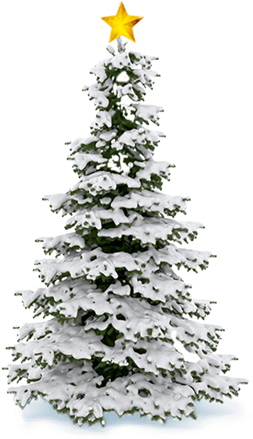 Thanks To All Our Generous Sponsors - Christmas Tree Snow Png (362x616), Png Download