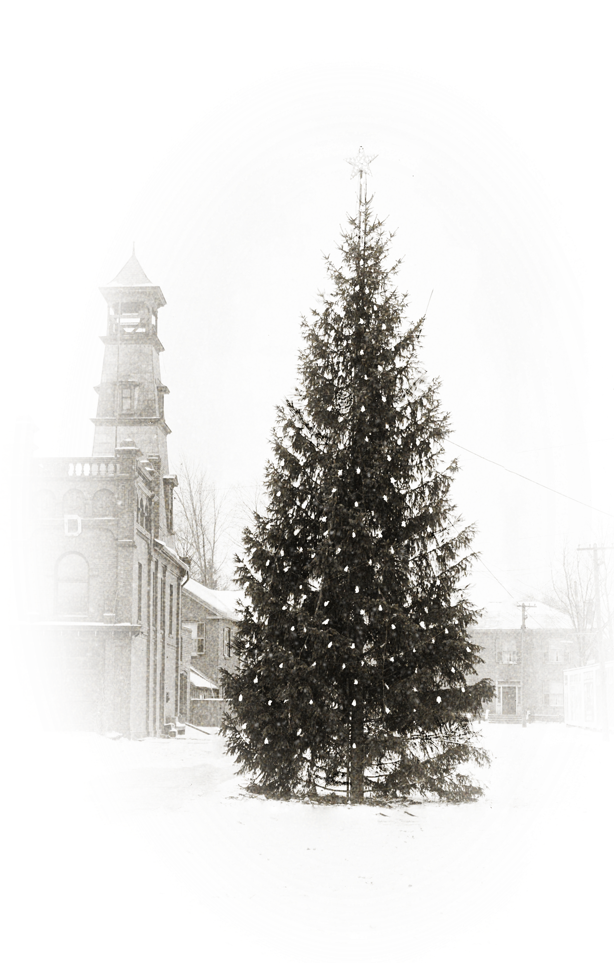 The Dundas Museum And Archives Is Hosting A Christmas - Christmas Tree (2480x3508), Png Download