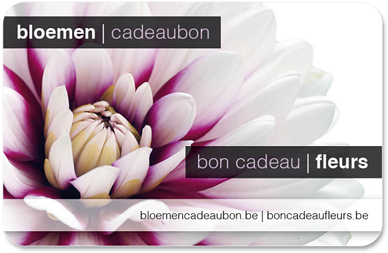 Flower Gift Card Dahlia - Bloemencadeaubon (600x400), Png Download