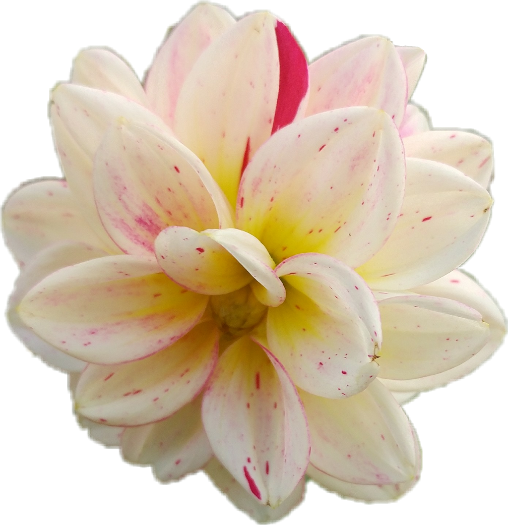 Picsart Photo Studio (1024x1059), Png Download