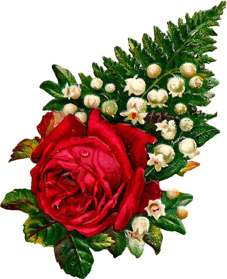 What A Beautiful Digital Red Rose Graphic I Love This - Red Flowers Love Png (896x1006), Png Download