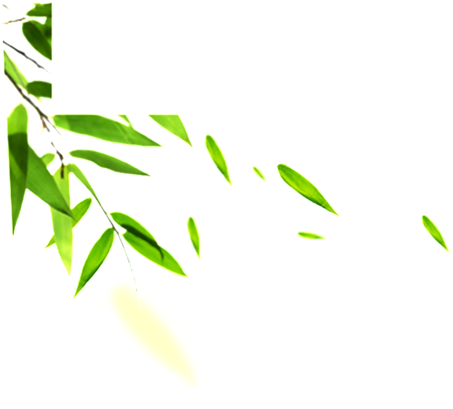 Hand Painted Bamboo Leaves Hd Png - Blackhead 3 Step Kit, Luckyfine - Skin Care Peeling (1024x1024), Png Download