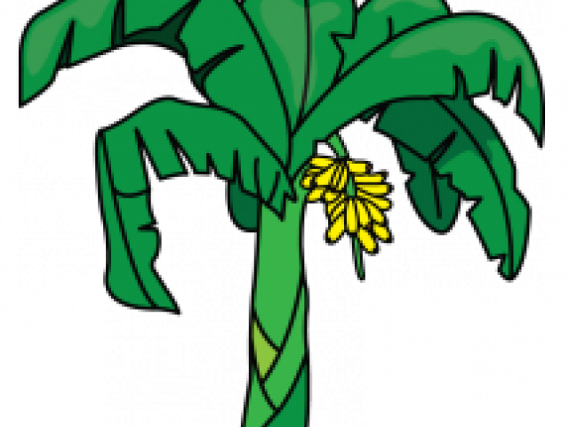 Banana Tree Clipart (640x480), Png Download