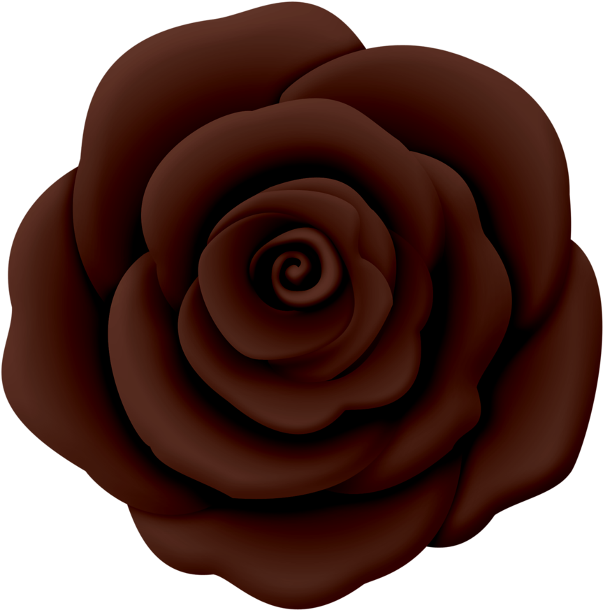 Lyrics, Flowers, Board, Games - Japanese Camellia (1024x1011), Png Download