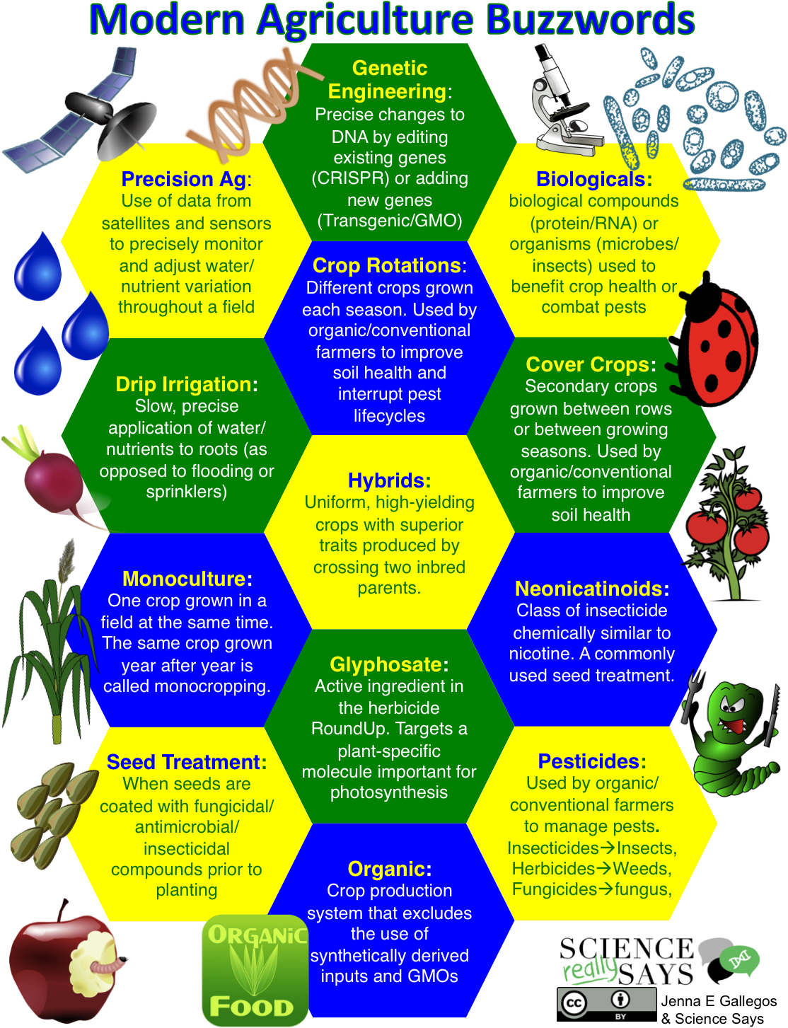 Buzzwords Infographic - Apple With Worm (1214x1486), Png Download